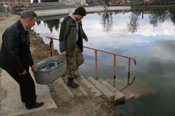 У Теремнівські ставки запустили чергову партію риби. ФОТО 