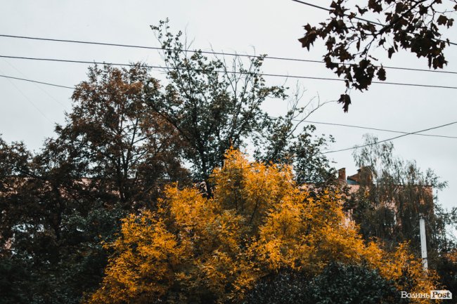 Похмура осінь у Луцьку. ФОТО