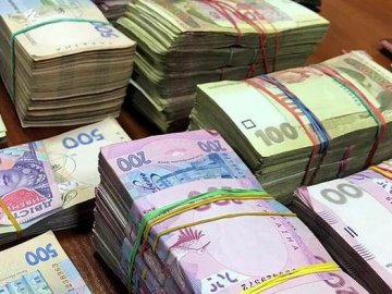 Фермер з Волині відшкодував понад 670 тисяч, які держава втратила через його махінації