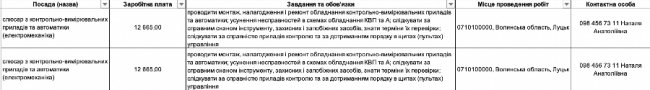 Де, скільки та за що на Волині готові платити від 8-ми до 30-ти тисяч гривень в місяць: ТОП вакансій 