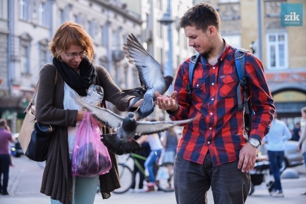 Голуби: птахи миру чи летючі пацюки. ФОТО
