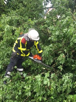 Град на Закарпатті трощив автомобілі та дахи будинків