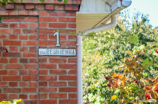 Безіменна вулиця і неназваний ставок: чим особливий неквапливий Вишків. ФОТО