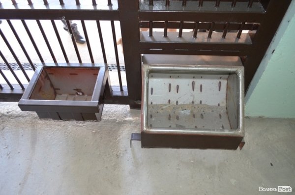 У Луцьку поляки проінспектували хід реконструкції міського зоопарку. ФОТО