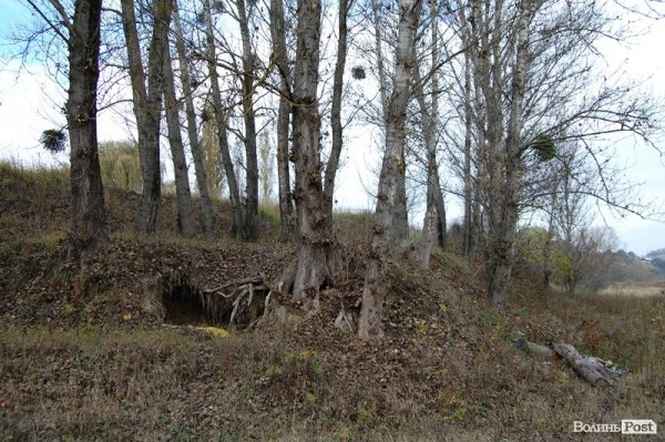 Парк у Луцьку: осіння краса і людська байдужість. ФОТО