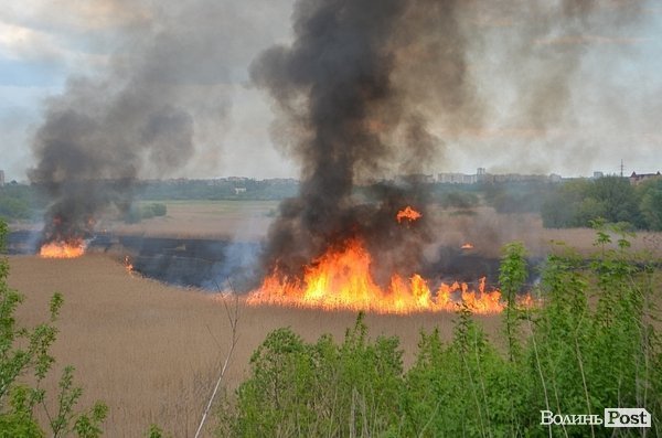 Пожежа очерету на Гнідаві. ФОТО. ВІДЕО