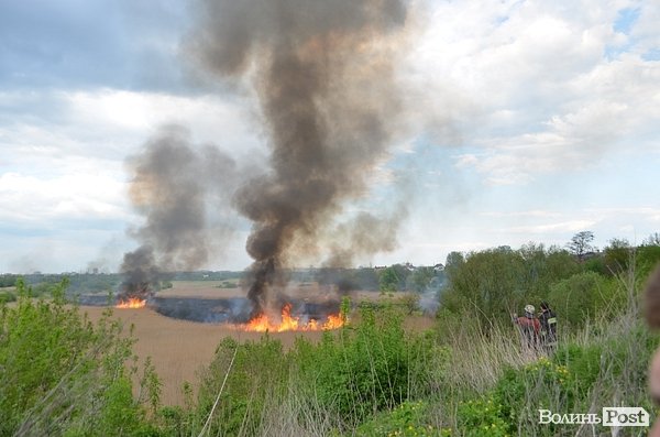 Пожежа очерету на Гнідаві. ФОТО. ВІДЕО