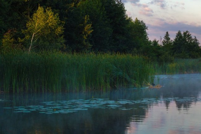 Чарівний світанок на волинському озері. ФОТО