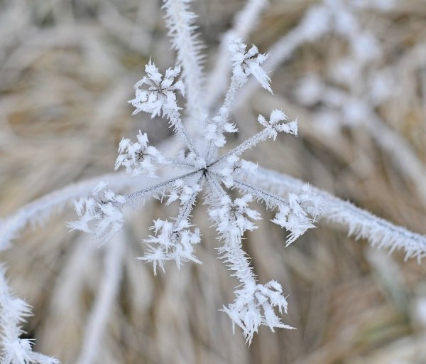 Волинь в льодяному тумані. ФОТО