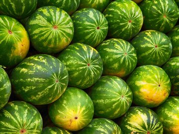 Розповіли, якими будуть ціни на кавуни цьогоріч