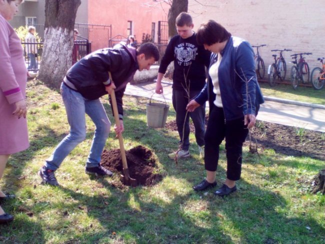 На честь студентів-атовців у Нововолинську створили алею