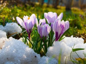Погода в Луцьку та Волинській області на завтра, 15 березня