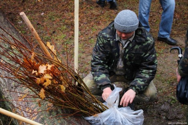 Мер Луцька і працівники «ПриватБанку» насадили дерев в парку. ФОТО