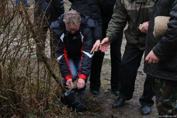 Мер Луцька і працівники «ПриватБанку» насадили дерев в парку. ФОТО
