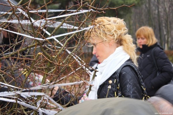 Мер Луцька і працівники «ПриватБанку» насадили дерев в парку. ФОТО