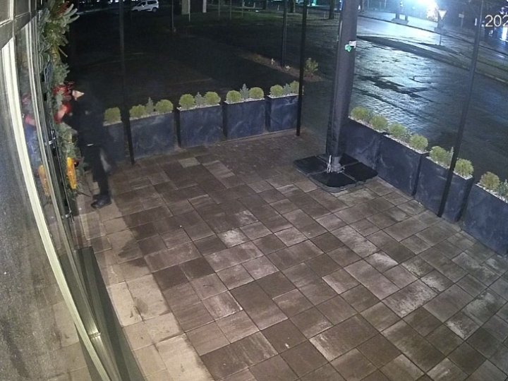 «Бо мене буде гризти!» — крадіжка іграшки з Golden Waffles: відео зі звуком розсмішило мережу