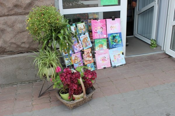 Як прикрасили луцькі клумби. ФОТО