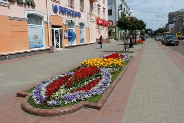 Як прикрасили луцькі клумби. ФОТО