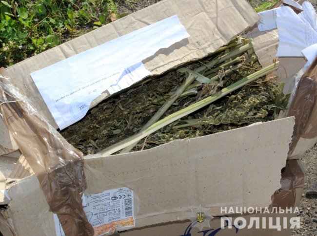 Волинські поліцейські знищили купу наркотиків. ФОТО