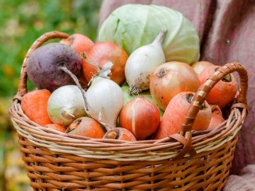 За скільки на луцькому ринку можна купити овочі. ВІДЕО