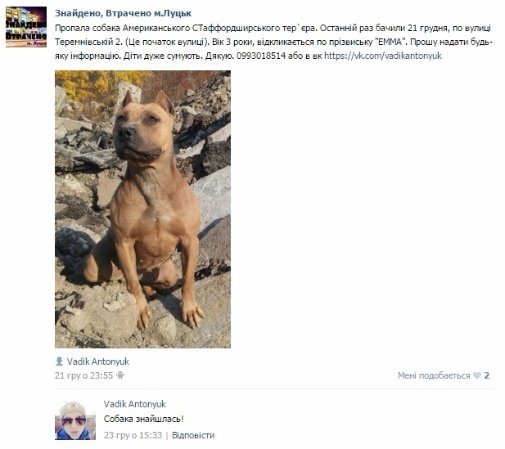 Чи потрібне Луцьку онлайн бюро знахідок. ФОТО