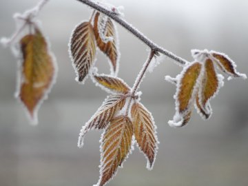 Погода у Луцьку та Волинській області на завтра, 19 листопада