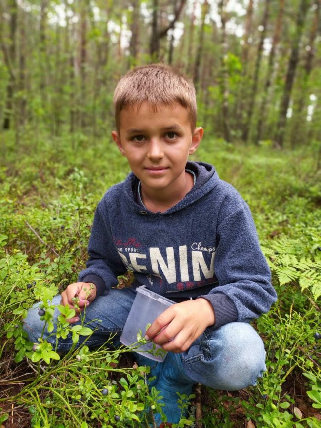 12-річний волинянин щодня назбирує по 25 кілограмів чорниць