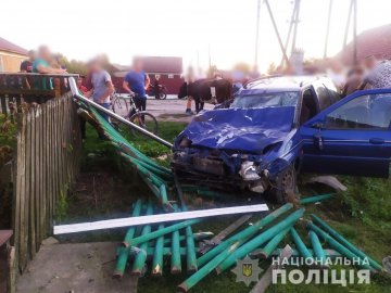 У селі на Рівненщині п'янючий водій наїхав на корів: 2 тварини загинуло