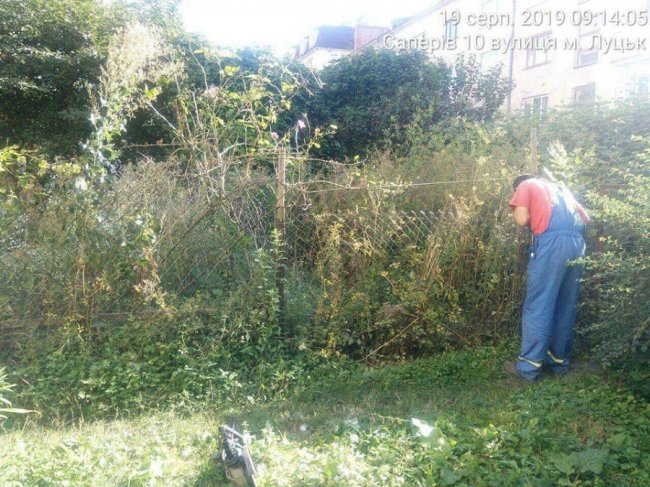 У Луцьких дворах знесли незаконні огорожі. ФОТО