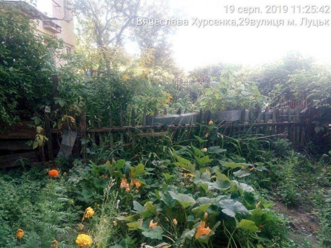 У Луцьких дворах знесли незаконні огорожі. ФОТО