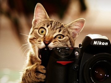 Лучан запрошують на школу фотографії 