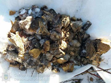 На Волині у чоловіка знайшли 8 кілограм тротилу