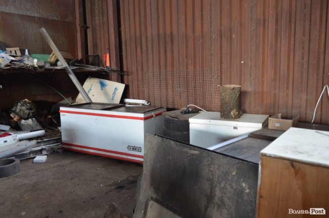 Показали умови, у яких живуть тварини в луцькій «Ласці». ФОТО