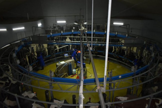 У селі на Волині збудували молочний комплекс за європейськими технологіями. ФОТО