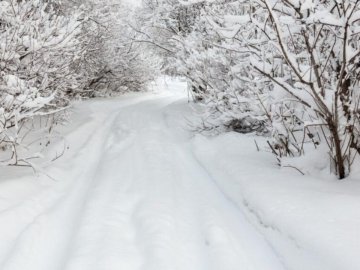 Погода у Луцьку та Волинській області на вівторок, 9 лютого
