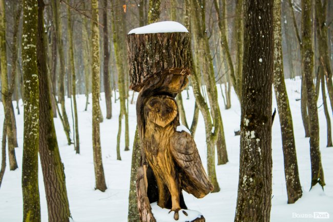 Подорож в казку: особливим людям влаштували прогулянку «волинською Швейцарією». ФОТО