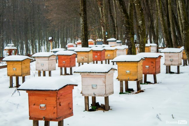 Подорож в казку: особливим людям влаштували прогулянку «волинською Швейцарією». ФОТО