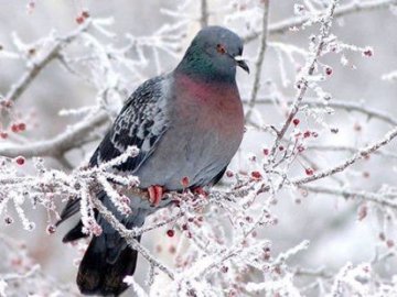 Яке свято 3 грудня та чому сьогодні потрібно проклинати всяку нечисть