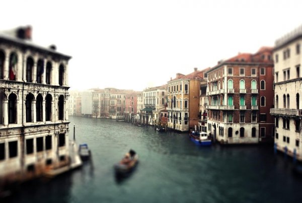 Автор - Хоміч Анна