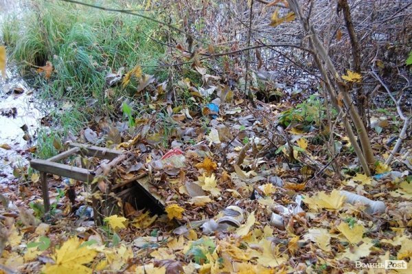 Як у Луцьку зачистили стихійне сміттєзвалище, уникнувши криміналу. ФОТО