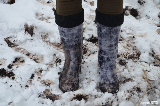 Жнива у зимовому лісі: як на Волині заготовляють деревину. ФОТО