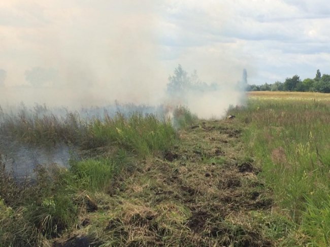 Через паліїв сміття на Волині вигоріло три гектари поля