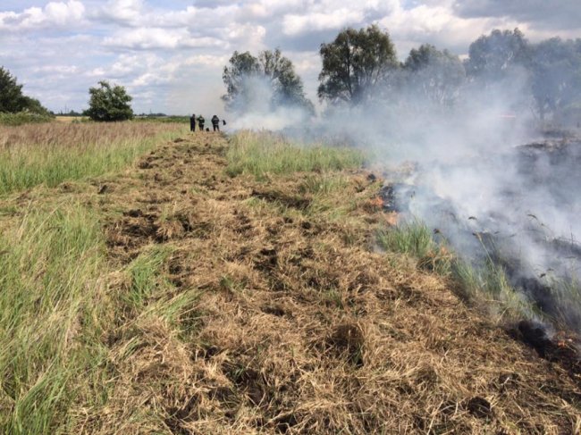 Через паліїв сміття на Волині вигоріло три гектари поля