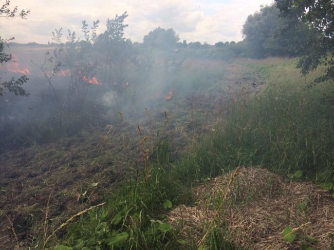 Через паліїв сміття на Волині вигоріло три гектари поля