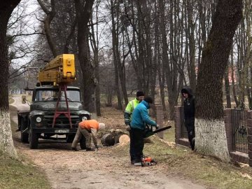 Зрізані дерева, нові зупинки та освітлення: що зробили у громаді на Волині за 2 місяці. ФОТО