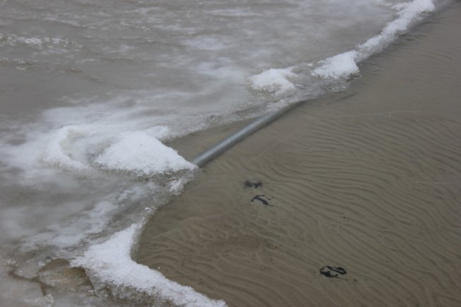 В озері Світязь знайшли трубу, через яку, ймовірно, викачують воду. ФОТО 