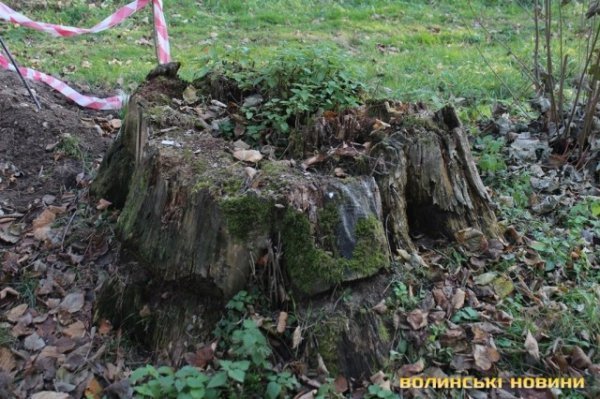 Чи безпечні атракціони у Центральному парку в Луцьку? ФОТО*