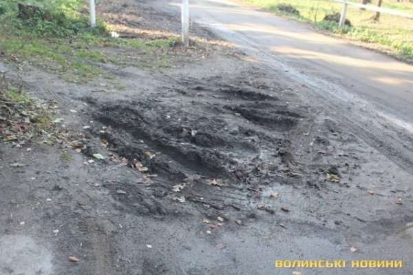 Чи безпечні атракціони у Центральному парку в Луцьку? ФОТО*