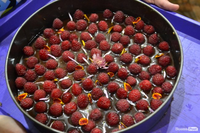 У Луцьку - вечірка вегетаріанців. ФОТО