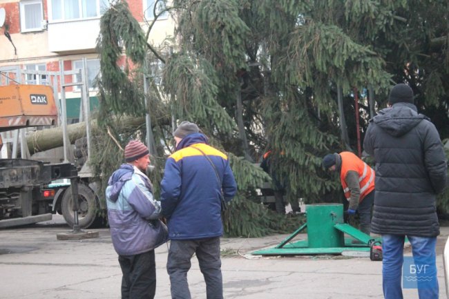 Як цьогоріч прикрасять головну ялинку у Володимирі